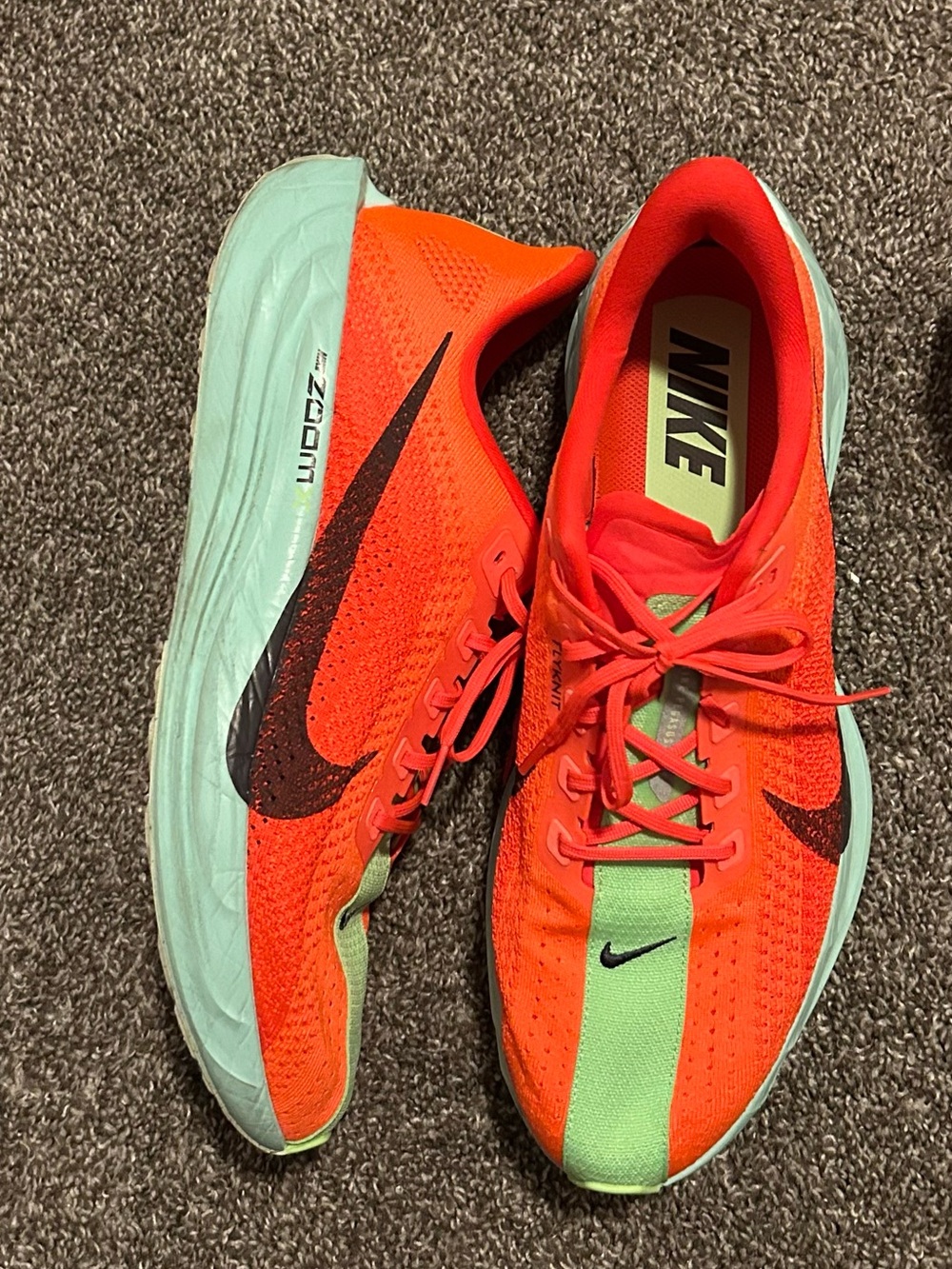 Nike Men’s Pegasus Plus Crimson Red